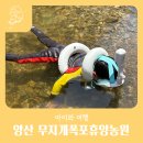 무지개농원 | 부산근교 취사가능한 계곡 양산 무지개폭포휴양농원 자리선정 후기