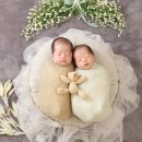 리베 | 쌍둥이 신생아 뉴본촬영 리얼후기｜리베강서산후조리원 연계 토이스튜디오