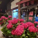국도세탁소 네이버블로그
