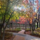 갈울근린공원 이미지