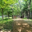 황골공원 농구장