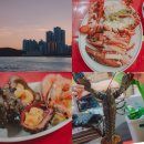 부산갈매기 횟집 | 부산 해운대 포장마차 거리 갈매기3호 랍스타 솔직후기