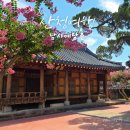 전통혼례 (예절) | 산청 남사예담촌 여름 여행 700년 전통 한옥마을 돌담길 산책