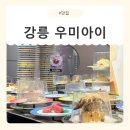 우미초밥 | [강원/강릉] 강릉회전초밥 우미아이 방문 후기