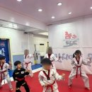 기장골든태권도 이미지