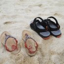 장호2리 이미지