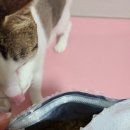 어피니티코리아 이미지