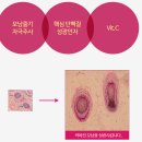고운미화장품