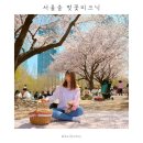 서울숲 생태숲 화장실 | 서울 벚꽃명소 서울숲 벚꽃 위치 | 벚꽃피크닉