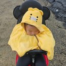 김녕 몽생이 | [제주일상] 제주김녕한달 추석맞이 전야제 - 송당...몽생이샌드, 도토리숲 럭키백, 김녕바닷길 해수욕🌿