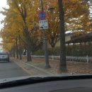 금은동농원 Daum카페