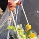 양화로 183 홍익인간오피스텔 이미지