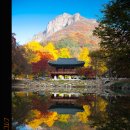 산천초목 이미지