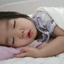 세은유통 이미지