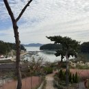 안포마을 | 여수여행 /화양면 /오션뷰/ 카페안포 /핑크뮬리 /팜파스 /야외정원이쁜카페/아이랑카페 방문후기