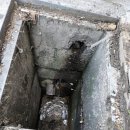 관문동 주민센터 앞 이미지