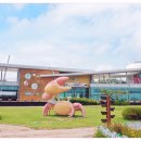 황토갯벌랜드3 이미지