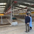 농업기술센터앞 이미지