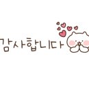 금촌애견 이미지