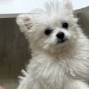 연초삼거리식당 | 2026년 1월, 이건 마치 겨울이 사진 모음 zip (2)