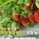 법인클라우드베리
