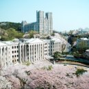 경희대학교(청운관) 네이버블로그