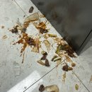 적당히 열심히