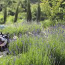 별마로농장 이미지