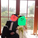 voyage | [웨딩촬영후기]_보야지레코드 voyage_recordhub_부산웨딩스튜디오