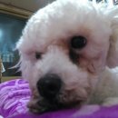 면목2동-010 이미지