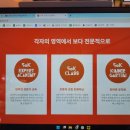 수원반려견유치원 반려견호텔 오십케이 이미지