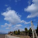 에코아트투어 이미지