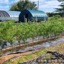 불은면-6 이미지