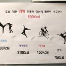 이지점핑체온다이어트