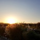 하늘공원 이미지