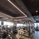 락 바디짐 | 염창PT 염창헬스 락바디짐 첫 상담 후기! (완전 솔직하게)