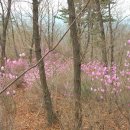 팔야1리 경로당 이미지