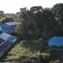 봉남면사무소 이미지