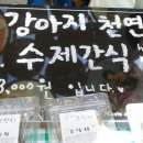 요미브런치 이미지