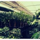 희정농장 이미지