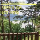 오동낚시터 | 전남 담양 가볼만한 곳 명승 식영정(송강 정철 성산별곡 탄생지)