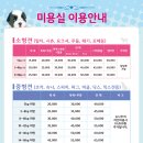 미로애견센터 네이버블로그