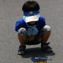 인라인장 이미지