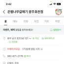 은행나무갈매기 이미지