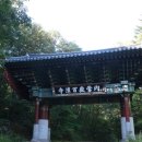 운흥사 목조아미타불좌상 및 복장유물 이미지