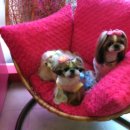 엘리하우스 이미지