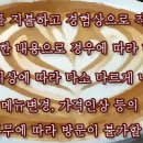 가지야커피숍