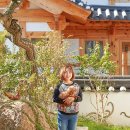 은평-010 이미지