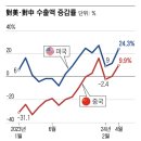 대미플러스 이미지