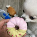 갖고파인형 이미지
